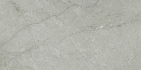 Roma Argento Honed 24X48 | Diversity Kitchen Bath & Tile