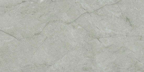 Roma Argento Honed 24X48 | Diversity Kitchen Bath & Tile