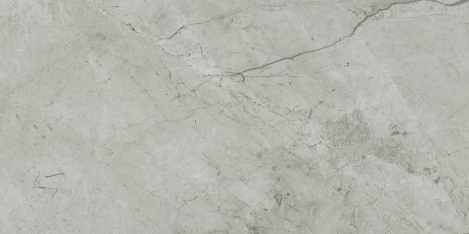 Roma Argento Honed 24X48 | Diversity Kitchen Bath & Tile