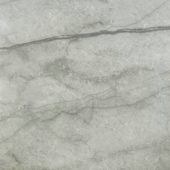 Roma Argento Polished 24X24 | Diversity Kitchen Bath & Tile