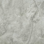 Roma Argento Polished 24X24 | Diversity Kitchen Bath & Tile