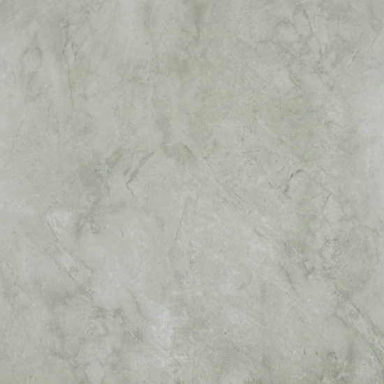 Roma Argento Polished 24X24 | Diversity Kitchen Bath & Tile