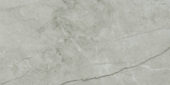 Roma Argento Polished 24X48 | Diversity Kitchen Bath & Tile