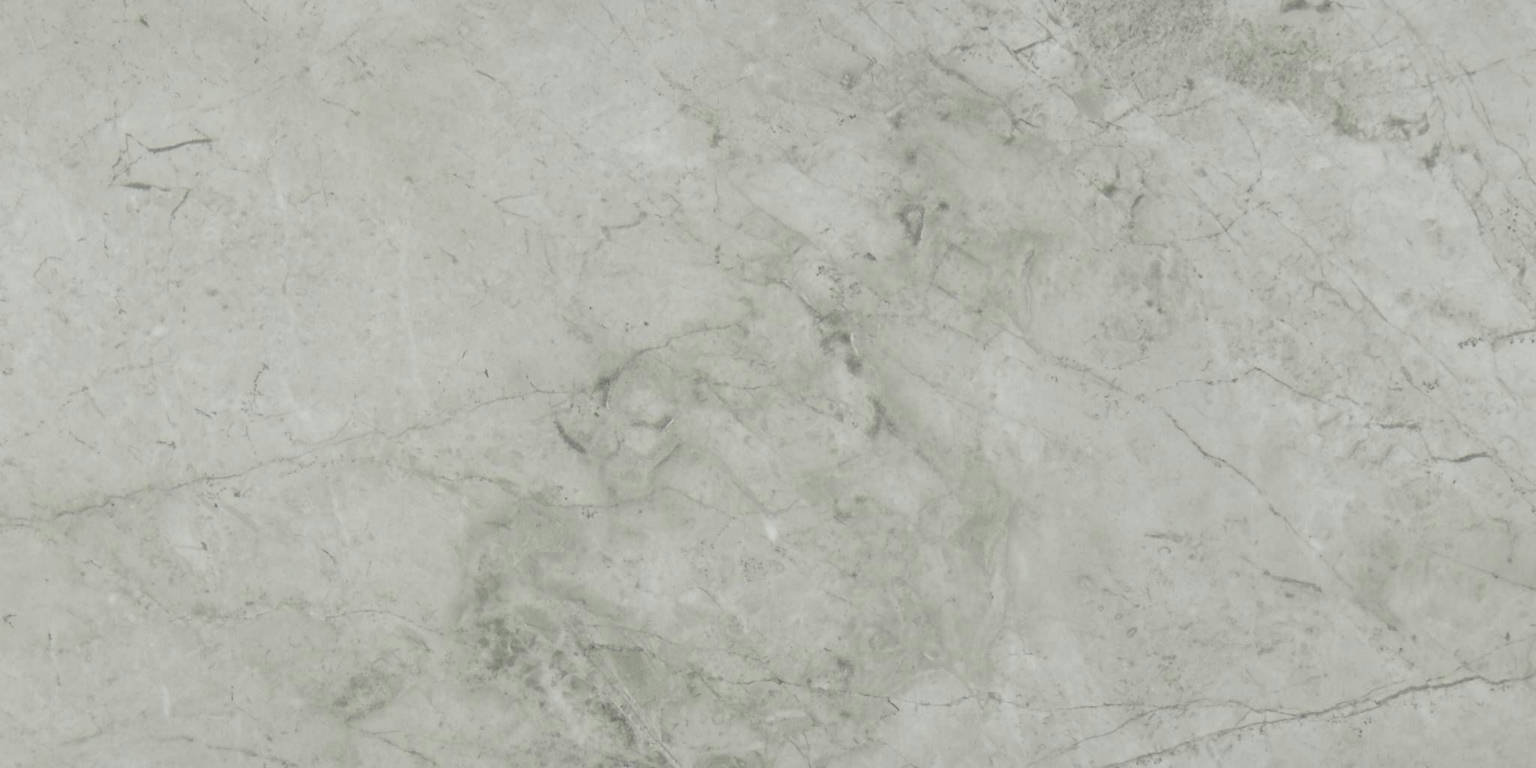 Roma Argento Polished 24X48 | Diversity Kitchen Bath & Tile