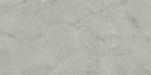 Roma Argento Polished 24X48 | Diversity Kitchen Bath & Tile