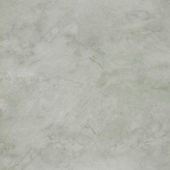 Roma Argento Polished 32X32 | Diversity Kitchen Bath & Tile