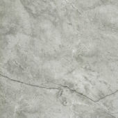 Roma Argento Polished 32X32 | Diversity Kitchen Bath & Tile