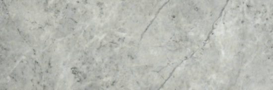 Roma Argento Polished 4X12 | Diversity Kitchen Bath & Tile