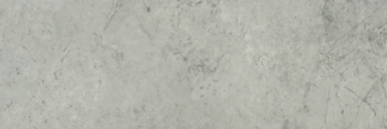 Roma Argento Polished 4X12 | Diversity Kitchen Bath & Tile