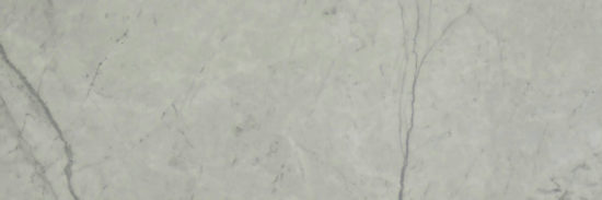 Roma Argento Polished 4X12 | Diversity Kitchen Bath & Tile