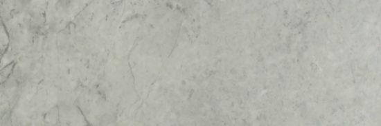 Roma Argento Polished 4X12 | Diversity Kitchen Bath & Tile