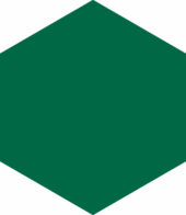 Ronda 5.5X6.3” Green Hexagon | Diversity Kitchen Bath & Tile