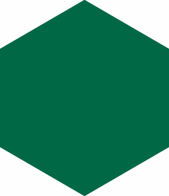 Ronda 5.5X6.3” Green Hexagon | Diversity Kitchen Bath & Tile