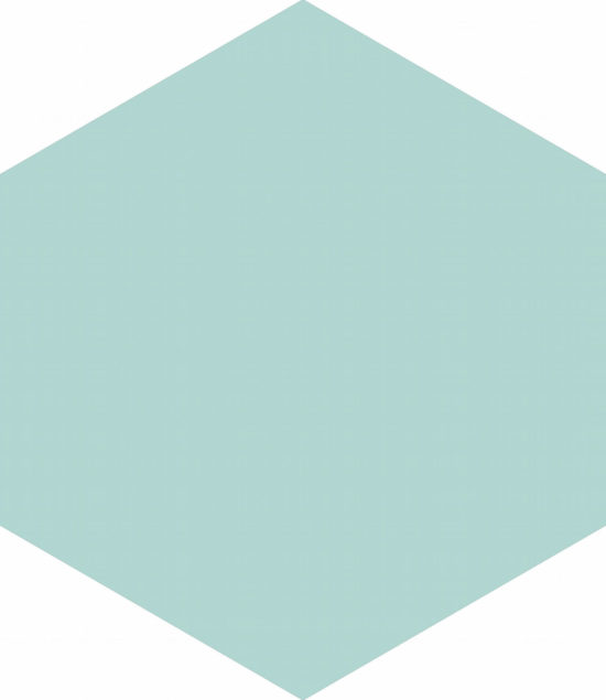 Ronda 5.5X6.3” Mint Hexagon | Diversity Kitchen Bath & Tile