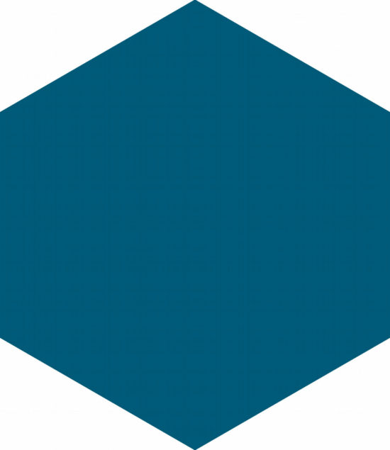 Ronda 5.5X6.3” Navy Blue Hexagon | Diversity Kitchen Bath & Tile