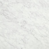 San Giulio Gioia Honed 24X24 | Diversity Kitchen Bath & Tile