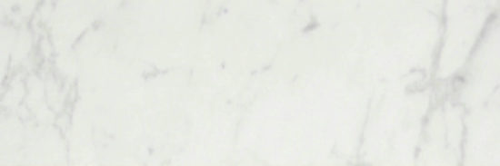 San Giulio Gioia Polished 4X12 | Diversity Kitchen Bath & Tile