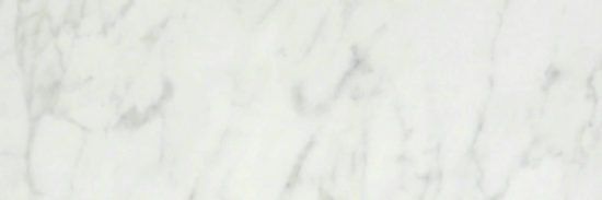 San Giulio Gioia Polished 4X12 | Diversity Kitchen Bath & Tile