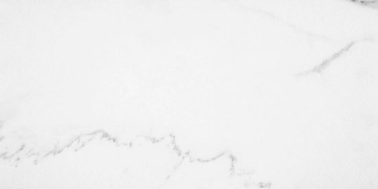 Statuario Venezia Honed 24X48 | Diversity Kitchen Bath & Tile