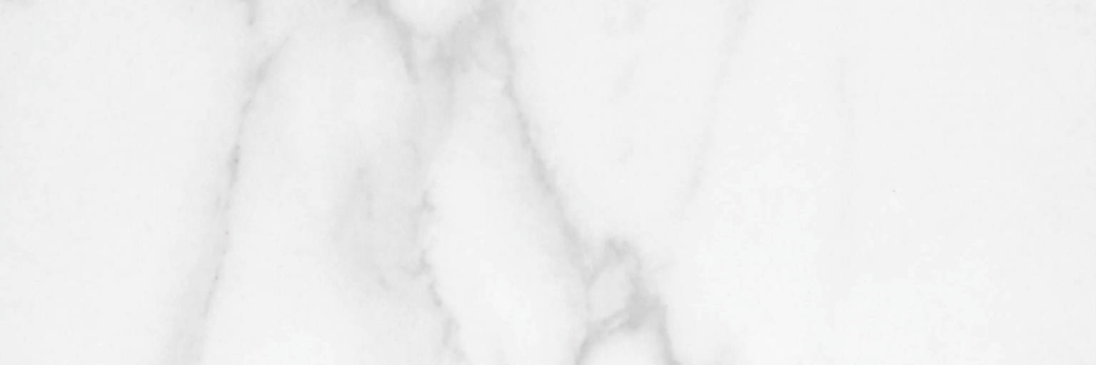 Statuario Venezia Honed 4X12 | Diversity Kitchen Bath & Tile