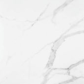 Statuario Venezia Polished 24X24 | Diversity Kitchen Bath & Tile
