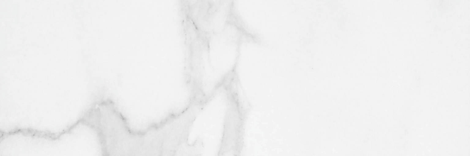 Statuario Venezia Polished 4X12 | Diversity Kitchen Bath & Tile