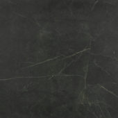 Tivoli Nero Honed 24X24 | Diversity Kitchen Bath & Tile
