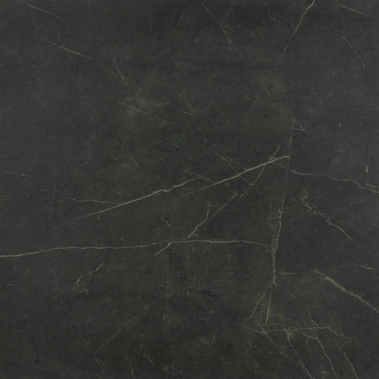 Tivoli Nero Honed 24X24 | Diversity Kitchen Bath & Tile