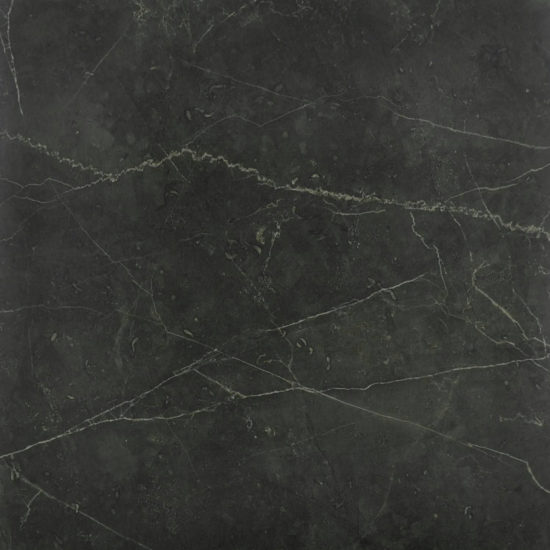 Tivoli Nero Honed 24X24 | Diversity Kitchen Bath & Tile