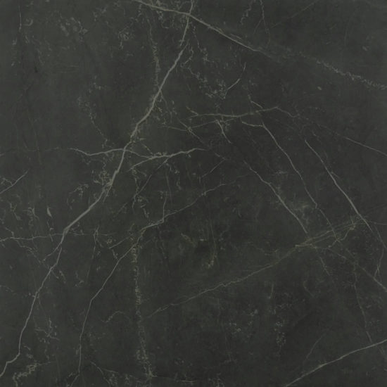 Tivoli Nero Honed 24X24 | Diversity Kitchen Bath & Tile