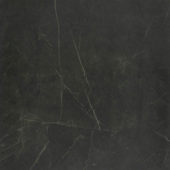 Tivoli Nero Honed 32X32 | Diversity Kitchen Bath & Tile