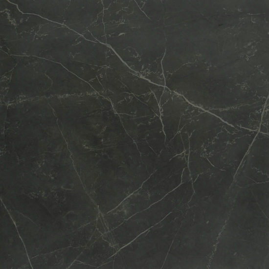 Tivoli Nero Honed 32X32 | Diversity Kitchen Bath & Tile