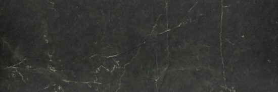Tivoli Nero Honed 4X12 | Diversity Kitchen Bath & Tile