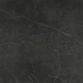 Tivoli Nero Polished 32X32 | Diversity Kitchen Bath & Tile