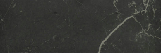Tivoli Nero Polished 4X12 | Diversity Kitchen Bath & Tile