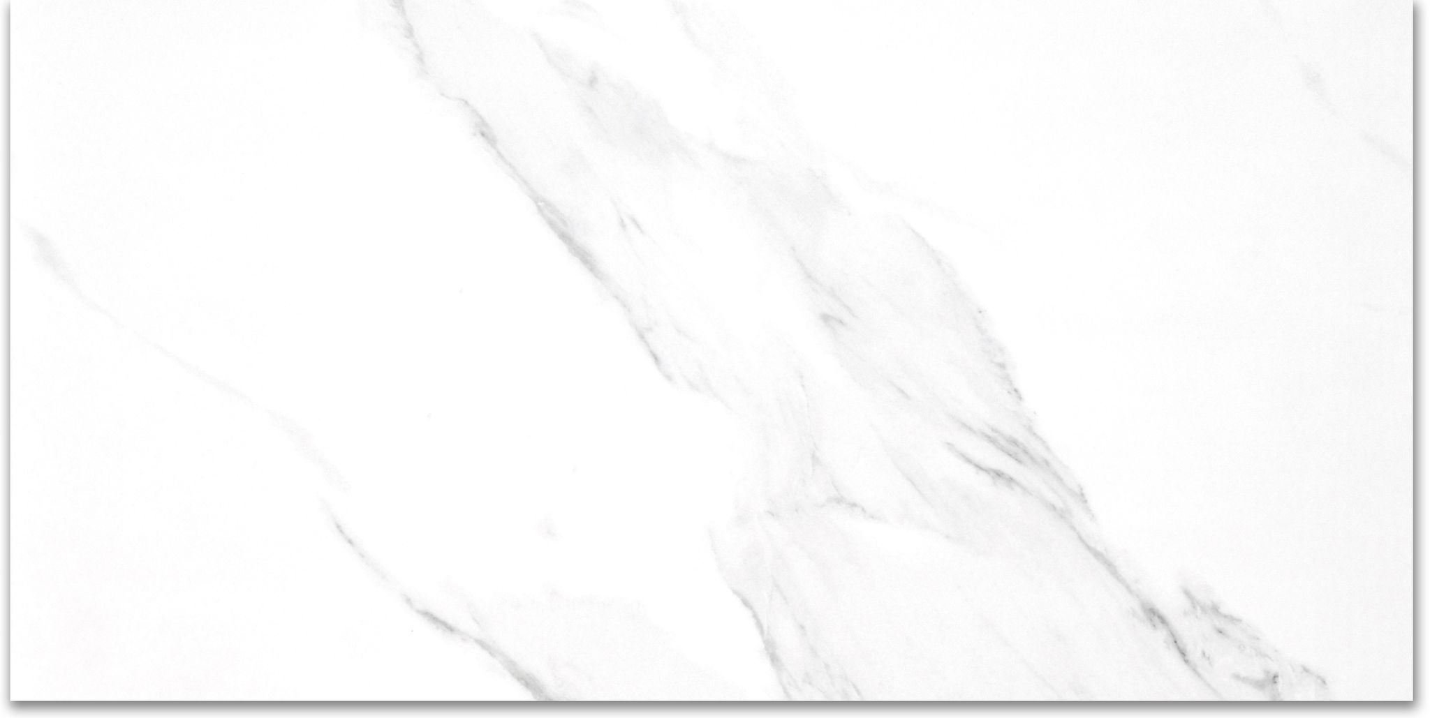 Treasure 12x24 Statuario Polished | Diversity Kitchen Bath & Tile