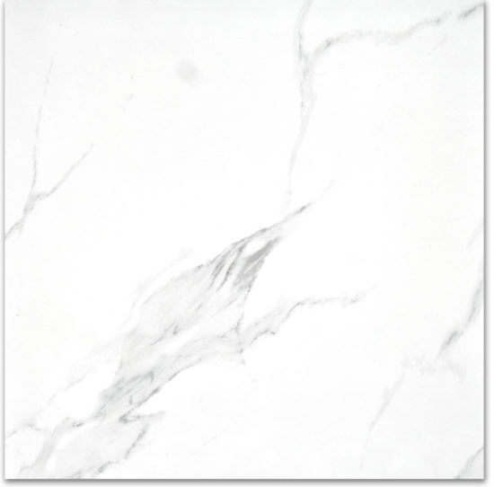 Treasure Statuario 24x24 Polished | Diversity Kitchen Bath & Tile