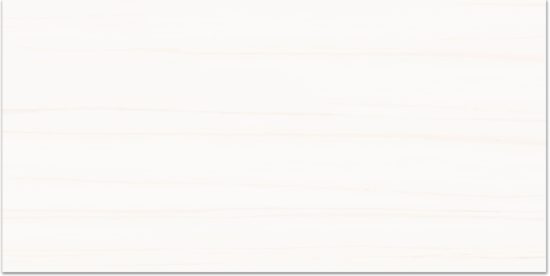 Treasure Ultimate Dolomite 12x24 Matte | Diversity Kitchen Bath & Tile