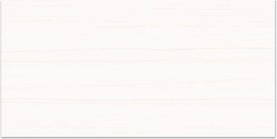 Treasure Ultimate Dolomite 12x24 Matte | Diversity Kitchen Bath & Tile