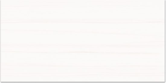 Treasure Ultimate Dolomite 24x48 Polished | Diversity Kitchen Bath & Tile