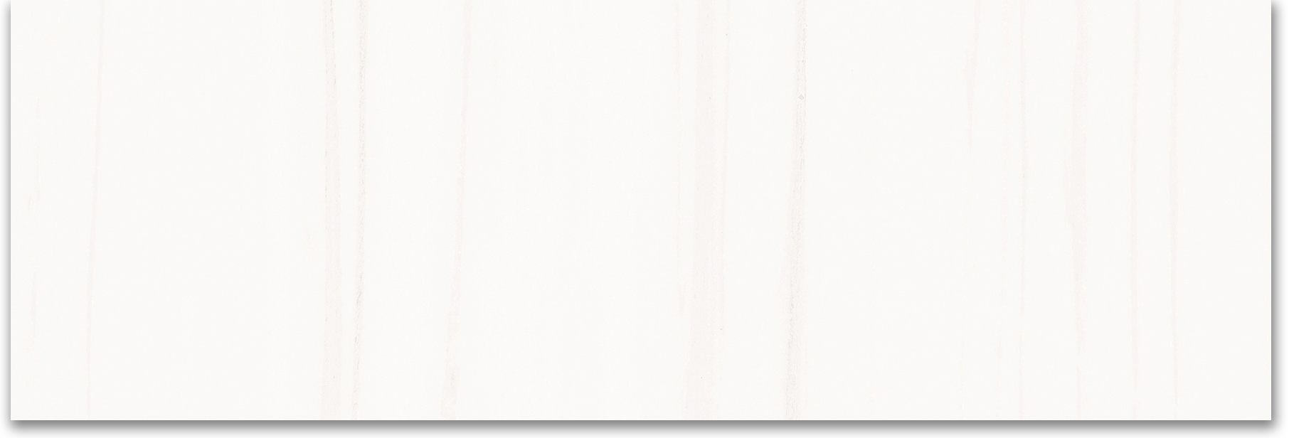 Treasure Ultimate Dolomite 4x12 Polished | Diversity Kitchen Bath & Tile