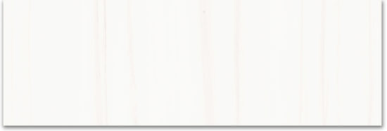 Treasure Ultimate Dolomite 4x12 Polished | Diversity Kitchen Bath & Tile