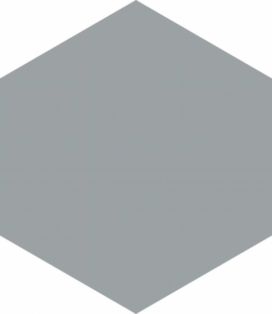Vida 5.5X6.3” Grey Hexagon | Diversity Kitchen Bath & Tile