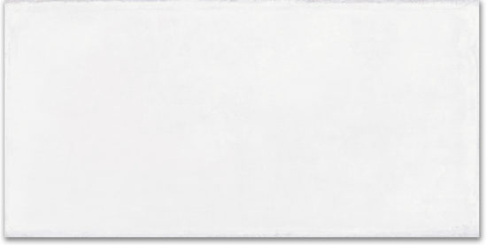 Whitehall Bianco 8x16F | Diversity Kitchen Bath & Tile