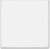 Whitehall Bianco 8x8F | Diversity Kitchen Bath & Tile