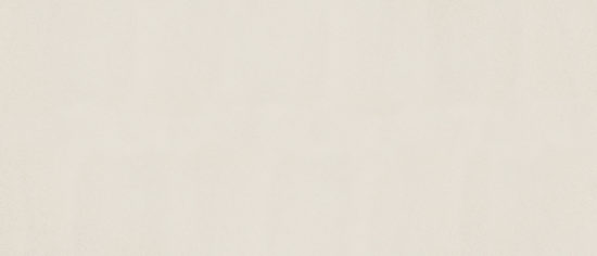 Marmiline Ivory 12x28 Niche | Diversity Kitchen Bath & Tile