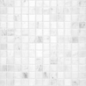 Bianco Venatino 1x1 Polished Mosaic | Diversity Kitchen Bath & Tile