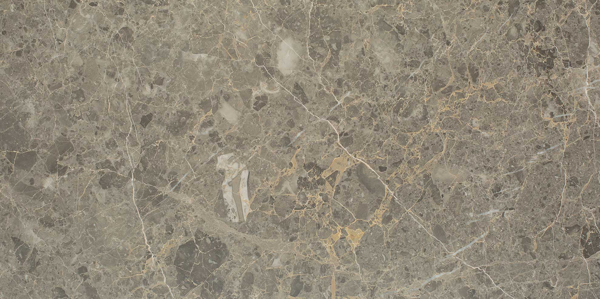 Velutto Ash 12x24 | Diversity Kitchen Bath & Tile