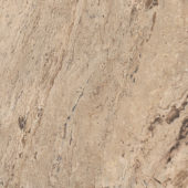 18X18F Classic | Diversity Kitchen Bath & Tile