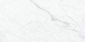 Altezza 12x24 Carrara | Diversity Kitchen Bath & Tile